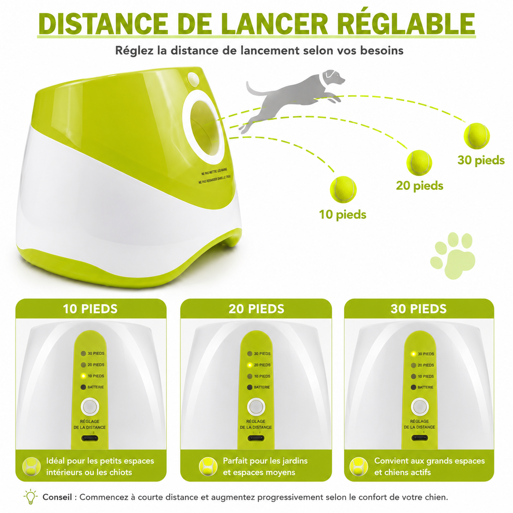 Lanceur de balles automatique pour chien