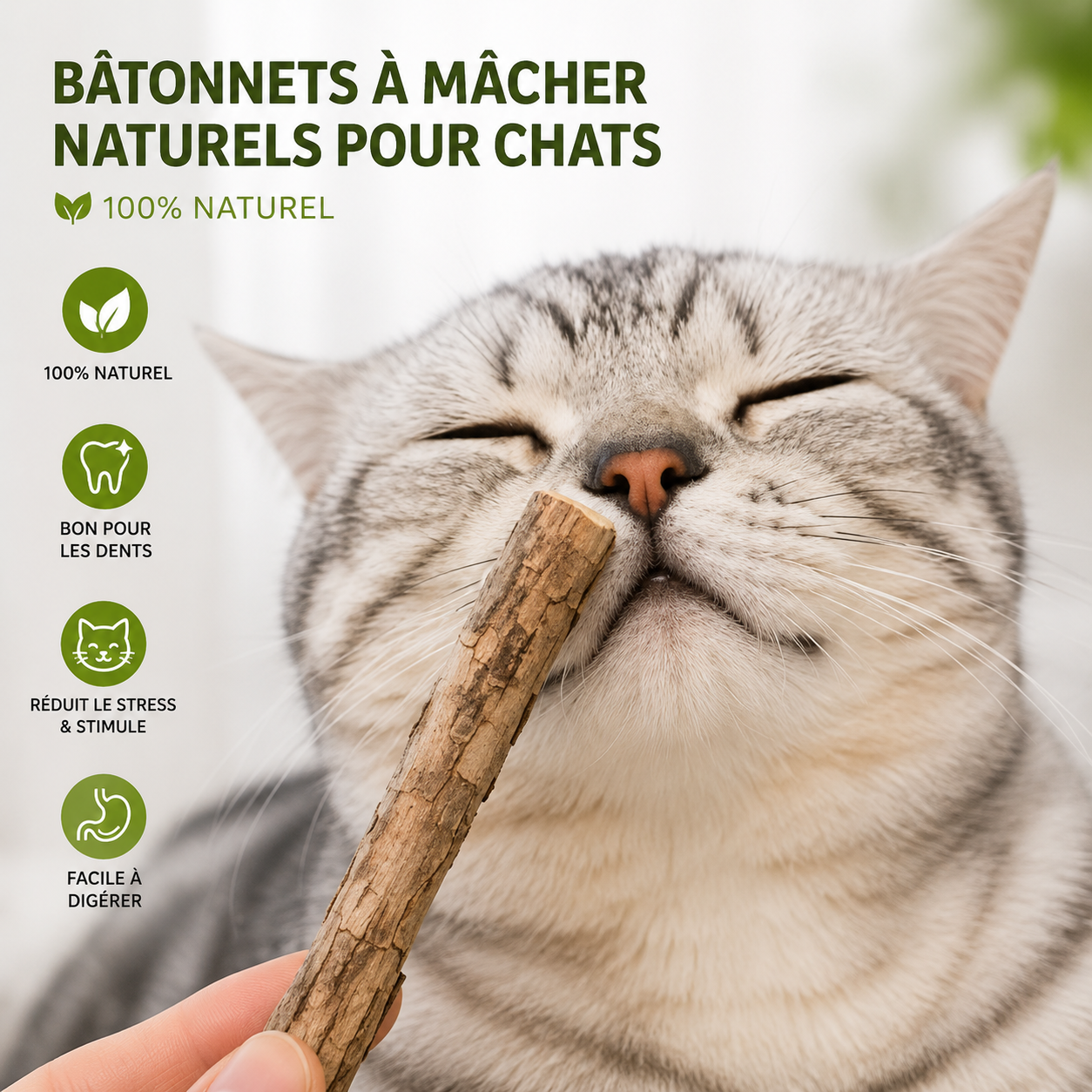 Lot de 20 bâtonnets à mâcher à la catnip pour chat
