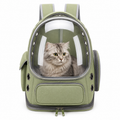 Sac à Dos Transparent de Transport pour Chien et Chat