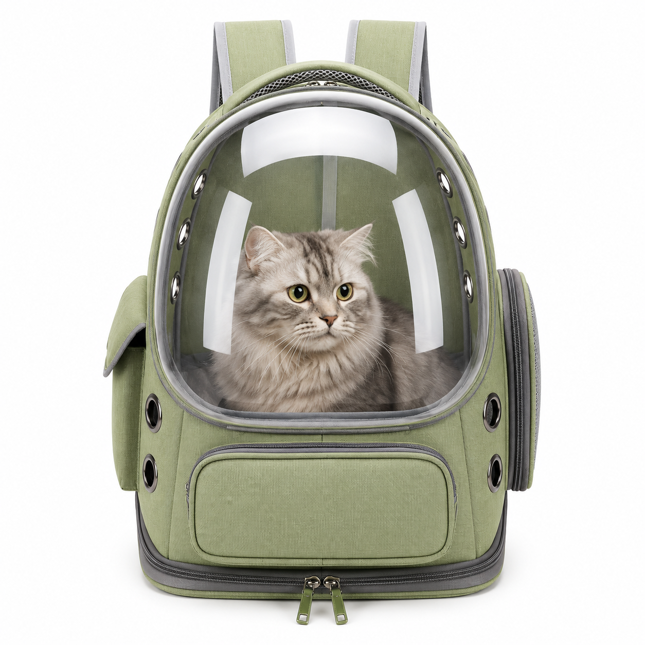 Sac à Dos Transparent de Transport pour Chien et Chat