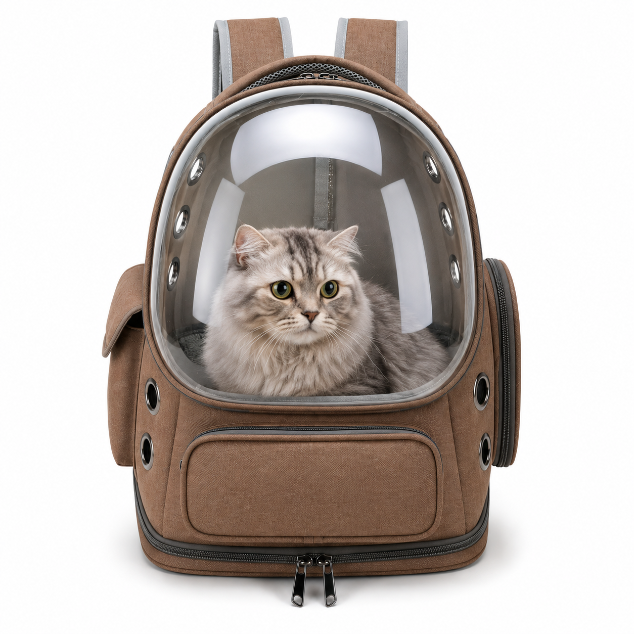 Sac à Dos Transparent de Transport pour Chien et Chat