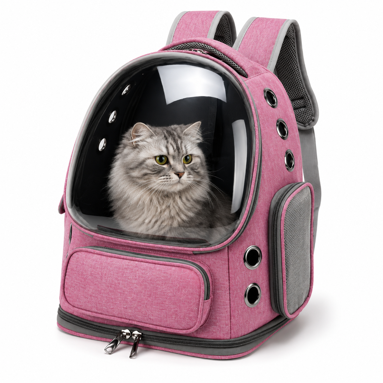 Sac à Dos Transparent de Transport pour Chien et Chat