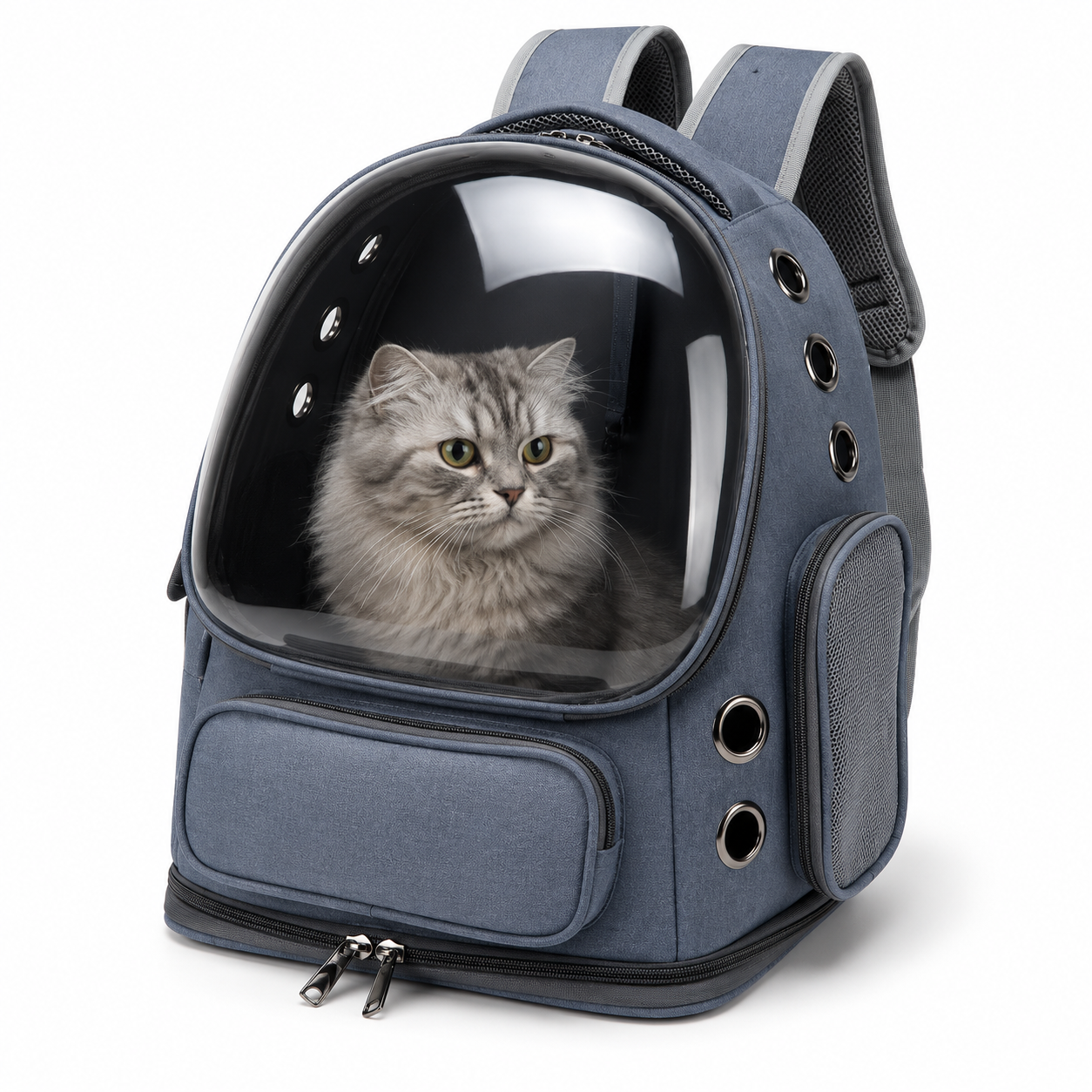 Sac à Dos Transparent de Transport pour Chien et Chat